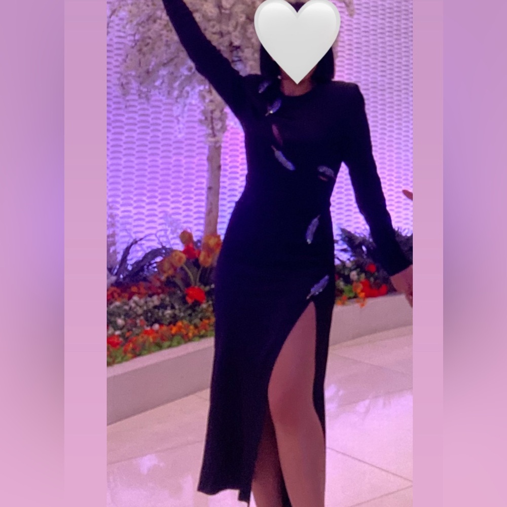 Zara Black Long sleeve dress
